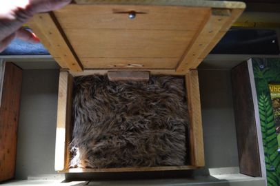 Opened box of the tactile display of the fur of a mammal